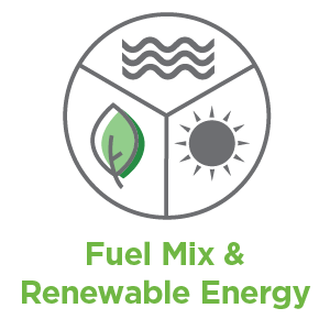 Fuel Mix & Renewable Energy
